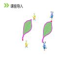 认识周长  三年级上册课件PPT