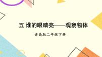 小学五 谁的眼睛亮——观察物体试讲课ppt课件