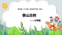 小学数学青岛版 (六三制)四年级下册一 泰山古树---计算器评优课教学ppt课件