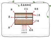 新西師大版數(shù)學二年級下冊課件：1.7 練習二