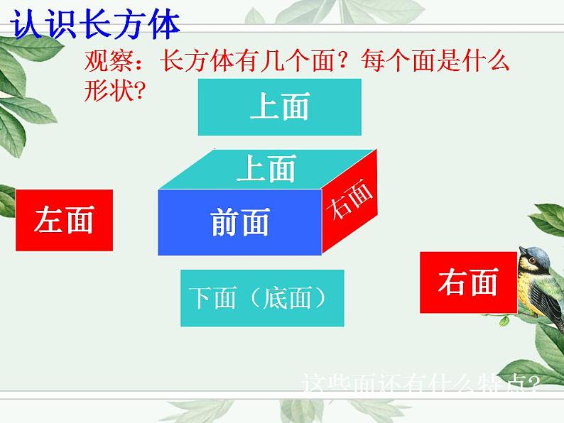 人教数学五下 3 长方体和正方体的认识课件PPT第6页