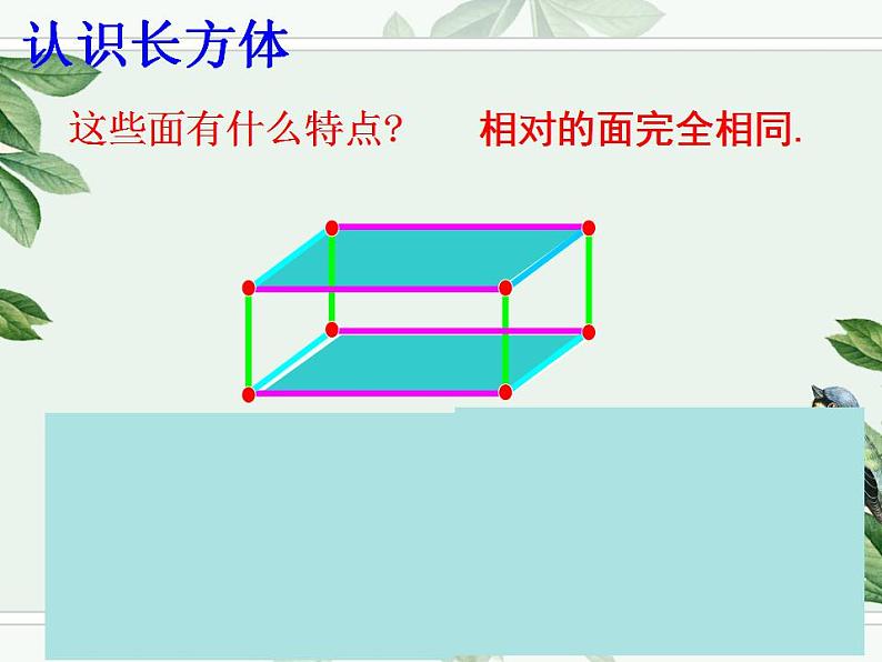 人教数学五下 3 长方体和正方体的认识课件PPT第7页