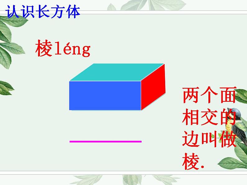 人教数学五下 3 长方体和正方体的认识课件PPT第8页