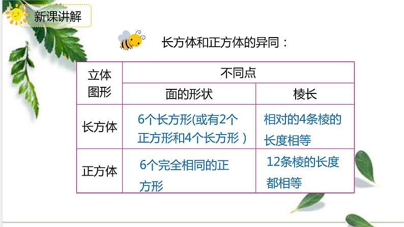 人教版五年级下学期数学3.1.2正方体课件PPT07