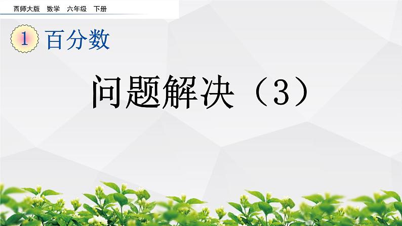 新西师大版数学六年级下册课件：1.9 问题解决（3）第1页