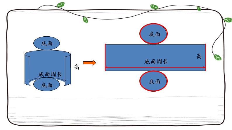 新西师大版数学六年级下册课件：2.2 圆柱的表面积06