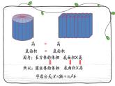 新西师大版数学六年级下册课件：2.5 练习八