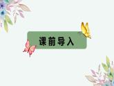 第三单元 1.数一数（一）（课件）-2022-2023学年二年级数学下册同步备课（北师大版）