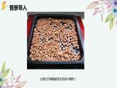 第三单元 1.数一数（一）（课件）-2022-2023学年二年级数学下册同步备课（北师大版）