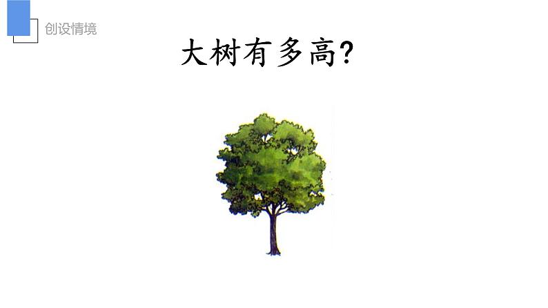 六年级数学下册课件 - 大树有多高 - 苏教版06