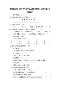 部编版2022-2023学年五年级上册数学期中专项提升调研卷（含解析）