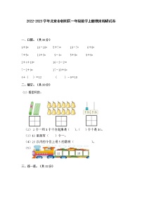 2022-2023学年北京市朝阳区一年级数学上册期末调研试卷(含解析)