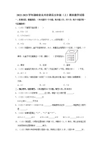 2022-2023学年湖南省永州市道县五年级（上）期末数学试卷