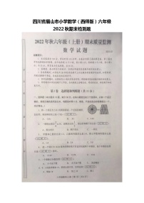 四川省眉山市仁寿县书院小学校2022-023学年六年级上学期数学期末检测题