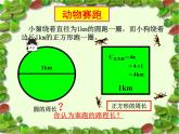 人教版小学数学六年级上册《圆的周长》公开课PPT课件
