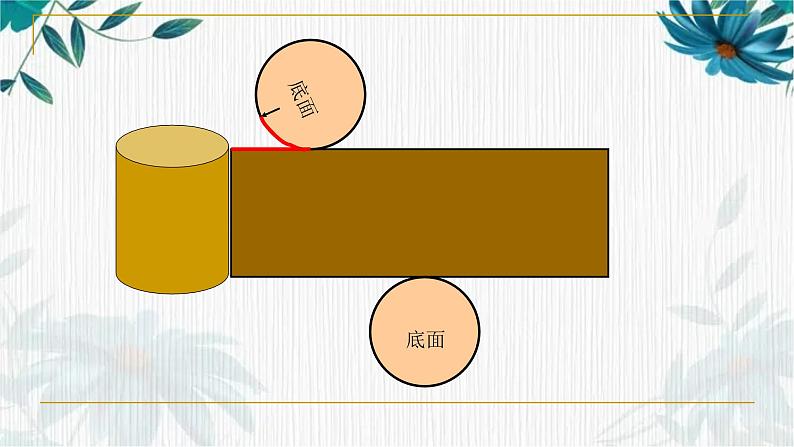 人教版六年级下册 圆柱的表面积  公开课课件第8页