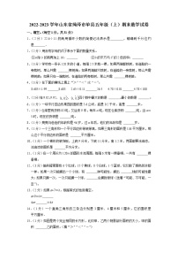 山东省菏泽市单县2022-2023学年五年级上学期期末数学试卷