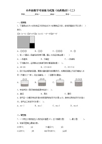 小升初数学考前练习试题（山西临汾）（二）