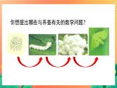 3.13《养蚕中的数学问题》课件+教案