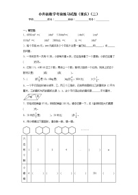 小升初数学考前练习试题（重庆）（三）