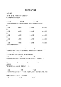 六年级下册数学总复习试题-图形的组合与观察专项练   全国版（含答案）