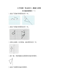 补全轴对称图形（一）（作图专项）-小升初六年级数学下册第一轮总复习《测量与作图专题模块》人教版