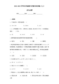 【挑战小升初100分】小升初数与代数专项训练（3）式与方程 全国通用（含答案）