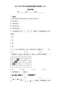 【挑战小升初100分】小升初探索规律专项训练（8）综合训练 全国通用（含答案）