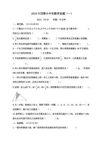 【成套】湖南省长沙市2018年雅礼系中雅小升初推优数学真题（5）及详解