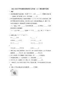 2022-2023学年湖南省株洲市五年级（上）期末数学试卷