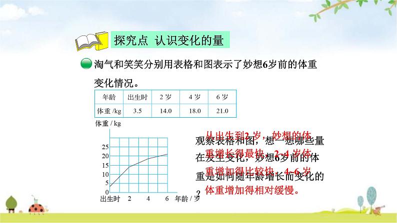 北师大版六年级数学下册总复习第4单元1变化的量课件第4页