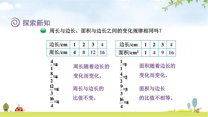 北师大版六年级数学下册总复习第4单元2正比例课件05