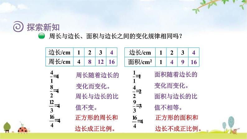 北师大版六年级数学下册总复习第4单元2正比例课件07