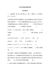 北师大版六年级数学下册小升初专项素质评价数与代数含答案