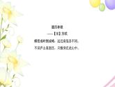 北师大版四年级数学下册第4单元1看一看教学课件