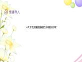 北师大版四年级数学下册第6单元2栽蒜苗（一）教学课件