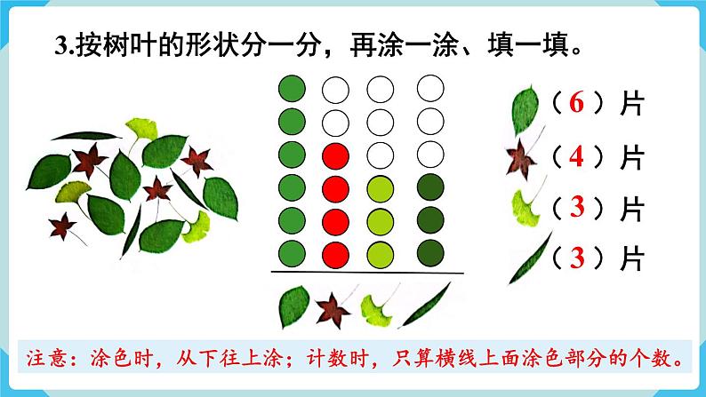 第3单元分类与整理练习七课件第5页