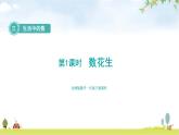 北師大版一年級數學下冊第3單元第1課時數花生教學課件