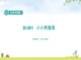 北师大版一年级数学下册第3单元第5课时小小养殖场教学课件