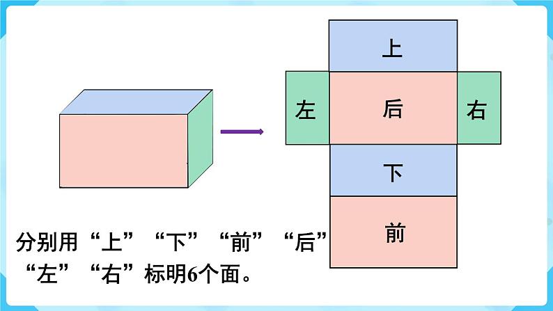 第3单元长方体和正方体第3课时长方体和正方体的表面积课件第5页