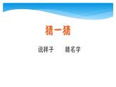 1年级数学北师大版上册课件第10单元《总复习》