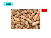 1年级数学北师大版下册课件第3单元《3.1数花生》