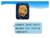 1年级数学北师大版下册课件第3单元《3.3数豆子》 (3)