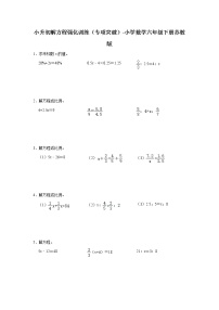 小升初解方程强化训练（专项突破）-小学数学六年级下册苏教版 (2)