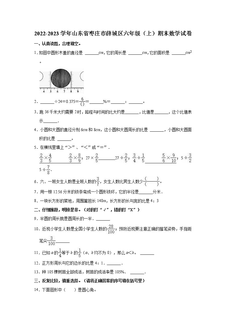 2022-2023学年山东省枣庄市薛城区六年级（上）期末数学试卷01