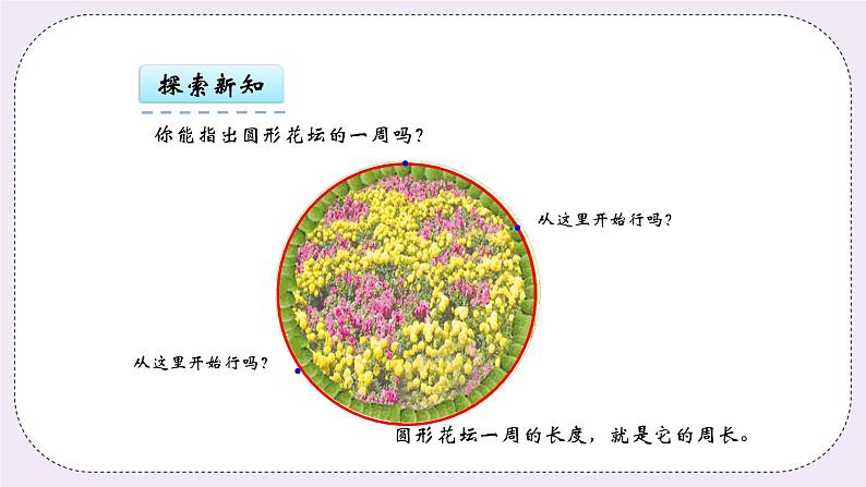 青岛版（五年制）数学三上5.1图形的周长 课件07