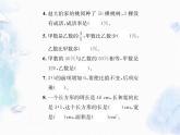 北师大版 总复习 试题测试专题训练