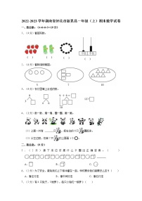 2022-2023学年湖南省怀化市新晃县一年级（上）期末数学试卷