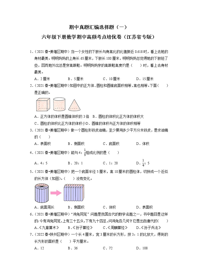 期中真题汇编选择题（一）-六年级下册数学期中高频考点培优卷（江苏省专版）01