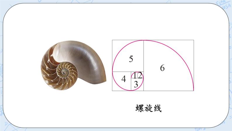 1.4 欣赏与设计-北师大版数学六年级上册课件+练习05